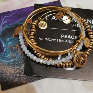 Alex and Ani World Peace Set